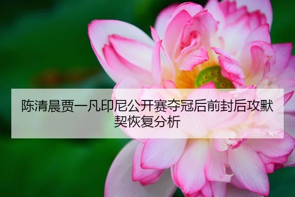 陈清晨贾一凡印尼公开赛夺冠后前封后攻默契恢复分析
