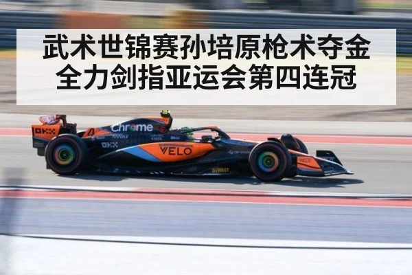 武术世锦赛孙培原枪术夺金全力剑指亚运会第四连冠